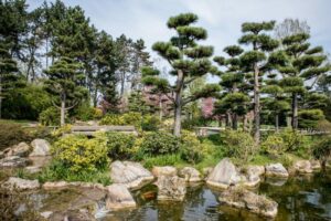 Spend relaxing hours in the Japanese garden